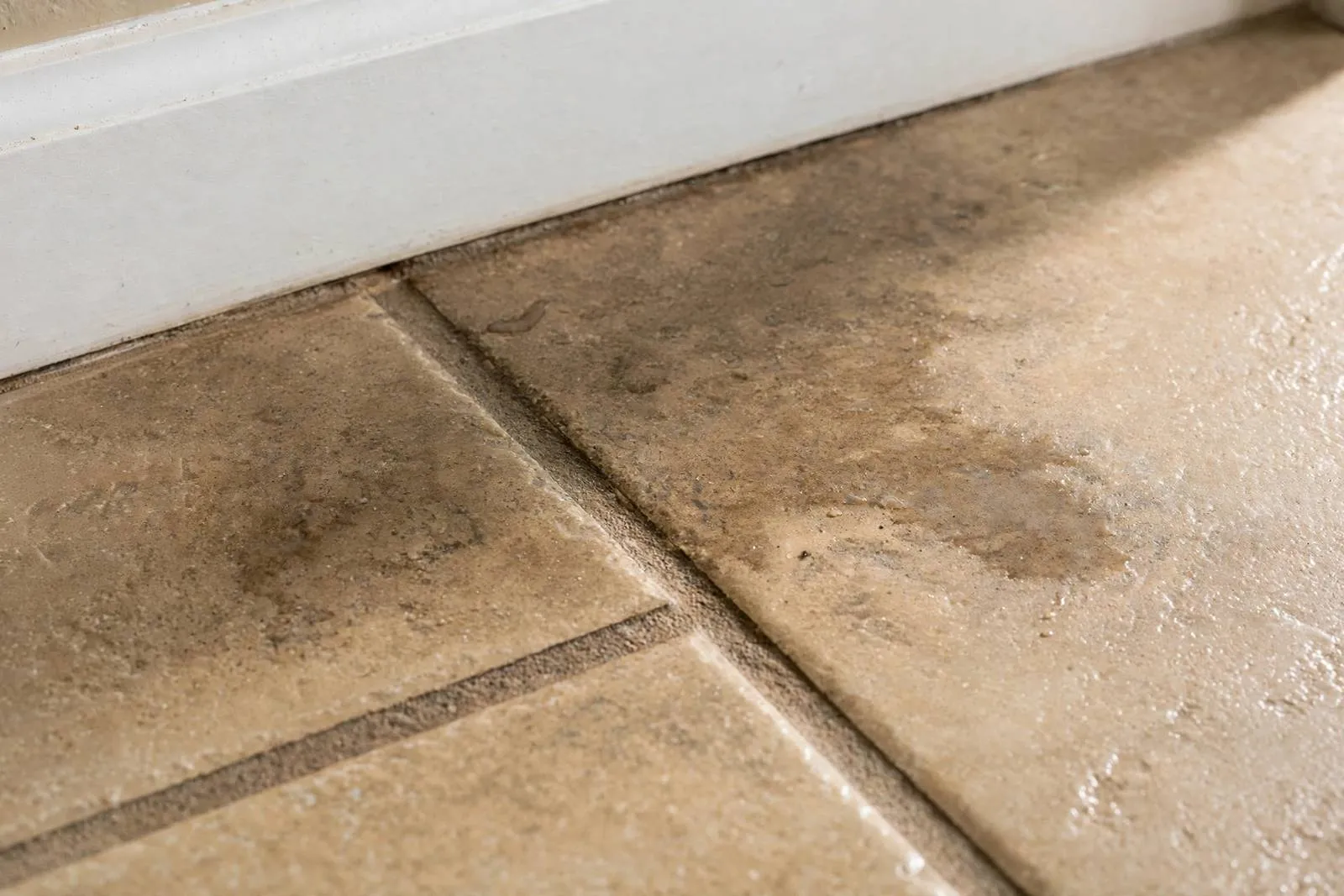 Damp stain spreading across a tile floor beside a baseboard in a home